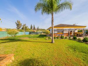 a palm tree in the yard of a house at Cubo's Sporting Villa Paloma in Villafranco de Guadalhorce