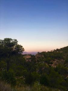 a view of a hill with trees and the sunset at Casa De Madera, A home from home. in Teresa de Cofrentes