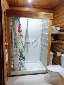 a bathroom with a shower and a toilet at Casa De Madera, A home from home. in Teresa de Cofrentes