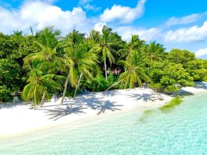un'isola con palme su una spiaggia di Royal Reef Stay a Mathiveri