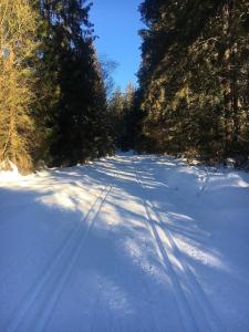 a snow covered road with trees on the side at Ferienwohnung Hani in Spiegelau