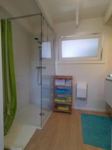 ein Bad mit einer Dusche und einer Glastür in der Unterkunft Seaside in Middelkerke