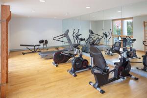 - une salle de sport avec plusieurs vélos d'exercice et tapis de course dans l'établissement Hotel Baslertor, à Muttenz