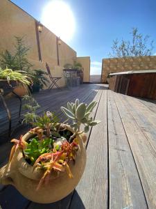 阿拉德的住宿－Desert Pearl Arad，木桌上的一个锅里的植物