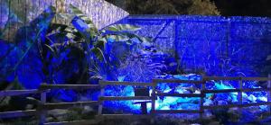 un jardín azul con un banco frente a una valla en Americas Best Value Inn Phenix City, en Phenix City