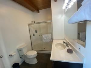 a bathroom with a toilet and a sink and a shower at Pacific Sands Vacation Home in Fort Bragg
