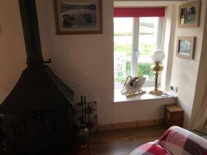 a living room with a fireplace and a window at Lake view Romantic retreat in Aberystwyth