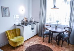 Kuchnia lub aneks kuchenny w obiekcie LION apartments - Gold