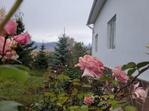 a garden with pink roses in front of a white building at Ай-Ас in Cholpon-Ata