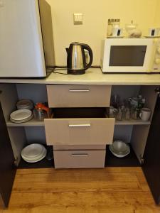 a kitchen with a counter with a microwave and plates at Centrum Noclegowe Apartament 6 in Bydgoszcz