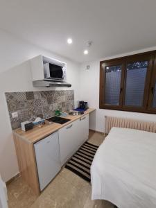 pokój z łóżkiem i kuchnią ze zlewem w obiekcie Studio entièrement équipé avec véranda commune w mieście Neuilly-sur-Marne