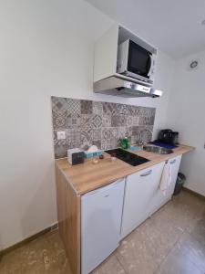 kuchnia z blatem i mikrofalówką w obiekcie Studio entièrement équipé avec véranda commune w mieście Neuilly-sur-Marne