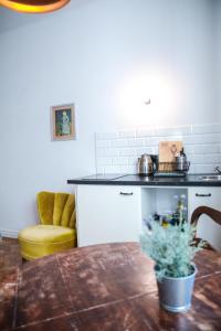 Kuchnia lub aneks kuchenny w obiekcie LION apartments - Gold