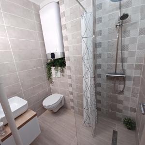 a bathroom with a toilet and a glass shower at Corner Apartment in Budapest