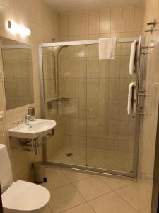 Koupelna v ubytování Guest House Pirklių Namai