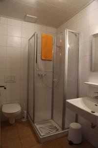 a bathroom with a shower and a toilet and a sink at Landgasthof "Altes Haus" in Waldmünchen