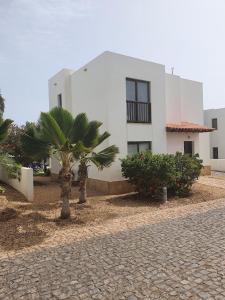 a white building with a palm tree in front of it at BCV - Private Villas with Pools Dunas Resort 4, 27, and 53 in Santa Maria