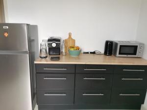 eine Küche mit einem Kühlschrank und einer Mikrowelle in der Unterkunft Chambre privée chez habitant à 2 pas de la gare in Blois
