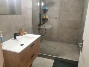 a bathroom with a shower with a sink and a shower at Chambre privée chez habitant à 2 pas de la gare in Blois