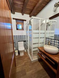 a bathroom with a shower and a toilet and a sink at Casa Barranco in Júzcar