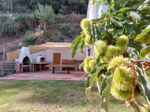 Ogród w obiekcie Casa Barranco