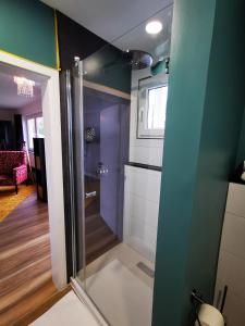 een badkamer met een glazen douche in de kamer bij Dagmars Apartment in Steinwenden