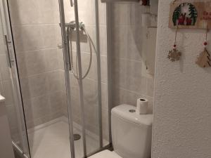 a bathroom with a shower with a toilet and a toilet paper at Studio Prapoutel 3 pers, balcon - FR-1-557-116 in Les Adrets