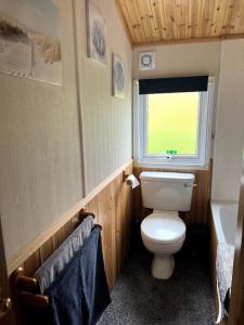 a small bathroom with a toilet and a window at Lake View Lodge in Millom