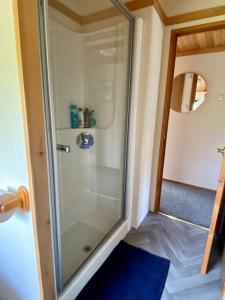 y baño con ducha y puerta de cristal. en Lake View Lodge en Millom