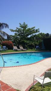 una gran piscina azul con un banco y árboles en Relaxing Property with Stunning Views and Pool en Toa Baja