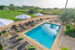 The swimming pool at or close to Son Indiot
