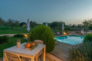 The swimming pool at or close to Son Indiot