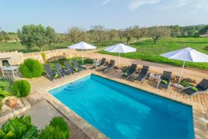 The swimming pool at or close to Son Indiot