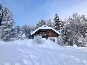 eine schneebedeckte Hütte im Wald mit Bäumen in der Unterkunft Ferienwohnung Waldhauser in Hermagor