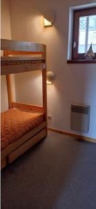 a bunk bed in a room with a mirror at Appartement bien situé in Gresse-en-Vercors