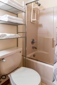 a small bathroom with a toilet and a shower at Cheerful Pocono home away from home in Albrightsville