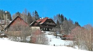 a large wooden house in the snow with trees at Romantisches Bauernhaus in 1100m Höhe zw Katschberg und Millstätter See 