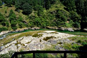 an aerial view of a river with rocks and trees at B2 Guest House in Almora