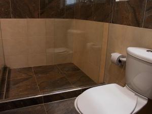 een badkamer met een toilet en een douche bij HOTEL GOLDEN CARTAGO in Cartago