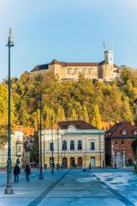 een groot gebouw met een kasteel op de top van een heuvel bij Vila Valentina in Ljubljana
