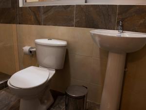 ein Bad mit einem WC und einem Waschbecken in der Unterkunft HOTEL GOLDEN CARTAGO in Cartago