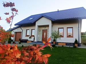 a white house with a blue roof at Willa Maja Bieszczady noclegi Bieszczady in Mchawa