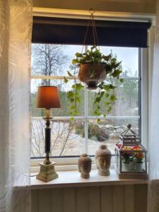 een raam met een lamp en planten op een vensterbank bij Lillesjö stuguthyrning in Bäckefors