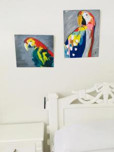 two paintings of a parrot on a wall at PLAYA LAGUITO in Cartagena de Indias