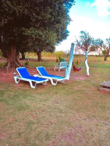 two lounge chairs and a hammock in a field at Encuentro de Almas (Soulmate Encounter) in Tinogasta
