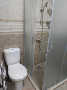 een badkamer met een toilet en een douche bij SP Apartmani FREE PARKING in Vranje