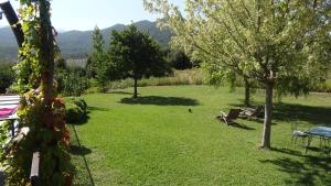 a yard with chairs and trees and mountains in the background at Villa U Puntale in Ghisonaccia
