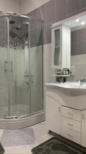 y baño con ducha y lavamanos. en Mirocki-Raj, en Miroč