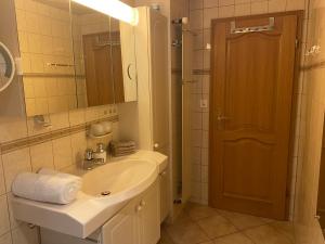 y baño con lavabo, espejo y ducha. en Appartement 3 lys en Saint-Louis