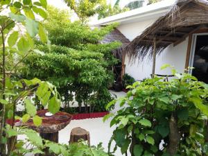 a garden in front of a house with trees at Maafushi View in Maafushi